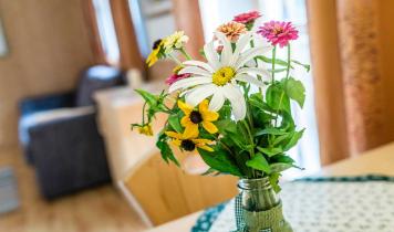 detailblumen